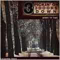 Pickin' On 3 Doors Down: Down To This: A Bluegrass Tribute