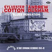 Blues Sensation-Detroit Downhome Recordings 1948-49