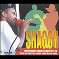 The Story Of Shaggy: Unauthorized Souvenir