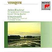 Bruckner: String Quintet, Intermezzo, etc / L'Archibudelli