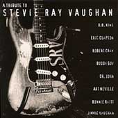 A Tribute To Stevie Ray Vaughan
