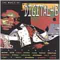 The World Of Digital B