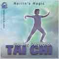 Flowing Perfection-Tai Chi