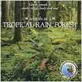 Tropical Rain Forest