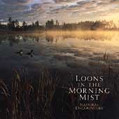 Loons In The Morning Mist