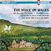 ウェールズの声～ウェールズの伝統歌曲集