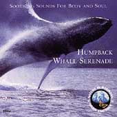 Humpback Whale Serenade