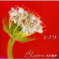 Bloom～光の世界