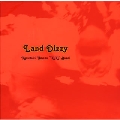 Land Dizzy-眩暈の国