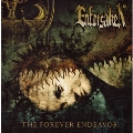 ザ・フォーエヴァー・エンデヴァー