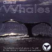 Chorus Of Whales