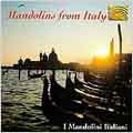 Mandolins From Italy