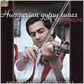 Best of Hungarian Gypsy Tunes