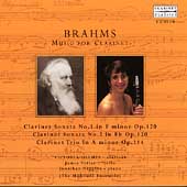 Brahms: Music for the Clarinet / Muehlfeld Ensemble