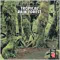 Relax With... Tropical Rain Forest 2
