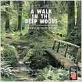 Relax With... A Walk in the Deep Woods (Enhanced With Music)