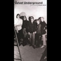 Chronicles: The Velvet Underground &... [Box]