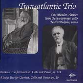 Brahms, D'Indy: Clarinet Trios / Transatlantic Trio