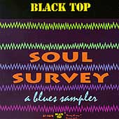 Soul Survey