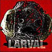 Larval