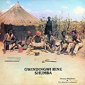 Gwindingwi Rine Shumba