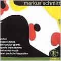 Schmitt: Siebenkas Music for Piano Trio, etc