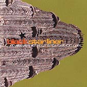 Twelve Inch Confrontation Mix