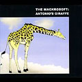 Antonio's Giraffe