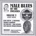 Male Blues Of The Twenties Vol. 2