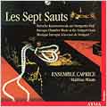 Les Sept Sauts: Baroque Chamber Music at the Stuttgart Court