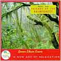 Music For The Friends Of The Rainforest