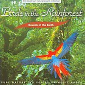Birds in the Rainforest