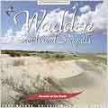 Wadden Sands And Seagulls