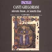 Canti Gregoriani / Bellinazzo, Schola Gregoriana Scriptoria