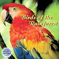 Birds Of The Rainforest
