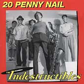 20 Penny Nail