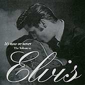 It's Now Or Never: The Tribute To Elvis