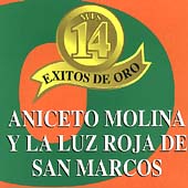 Mis 14 Exitos De Oro