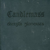 Dactylis Glomerata