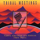 Tribal Meetings: Native American...