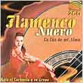 Flamenco Nuevo - La Luz de Mi Alma
