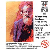 Brahms: Piano and Chamber Music / Rubanenko, Trio Opus 8