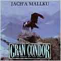 Gran Condor