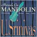 Marvels On Mandolin