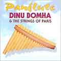 Panflute