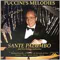 Puccini's Melodies / Sante Palumbo and his String Orchestra