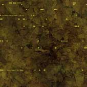 Bodies For Strontium 90