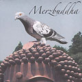 Merbuddha