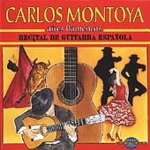 Aires Flamencos: Recital Of Spanish Guitar