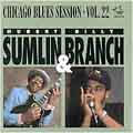 Chicago Blues Session Vol.22